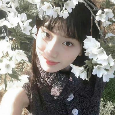 哈里·蒙特